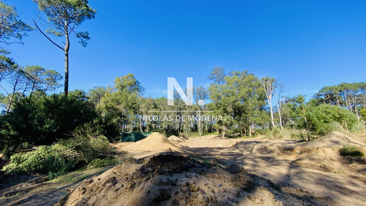 La Reserva - GoPunta - Portal Inmobiliario de Punta del Este - Maldonado