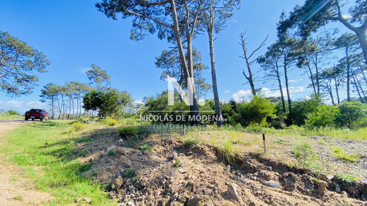 La Reserva - GoPunta - Portal Inmobiliario de Punta del Este - Maldonado