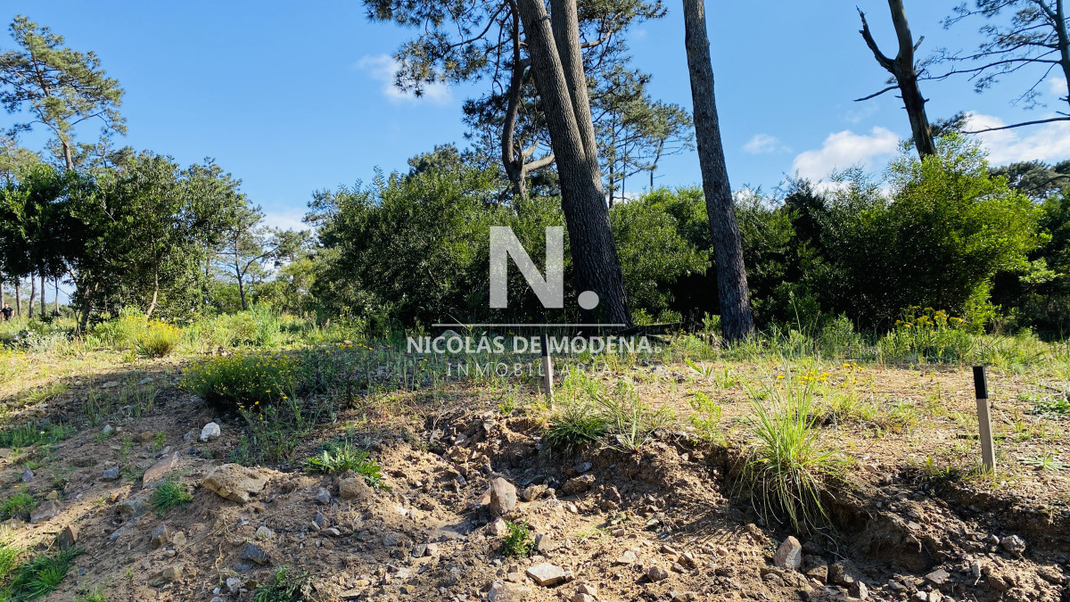 La Reserva - GoPunta - Portal Inmobiliario de Punta del Este - Maldonado