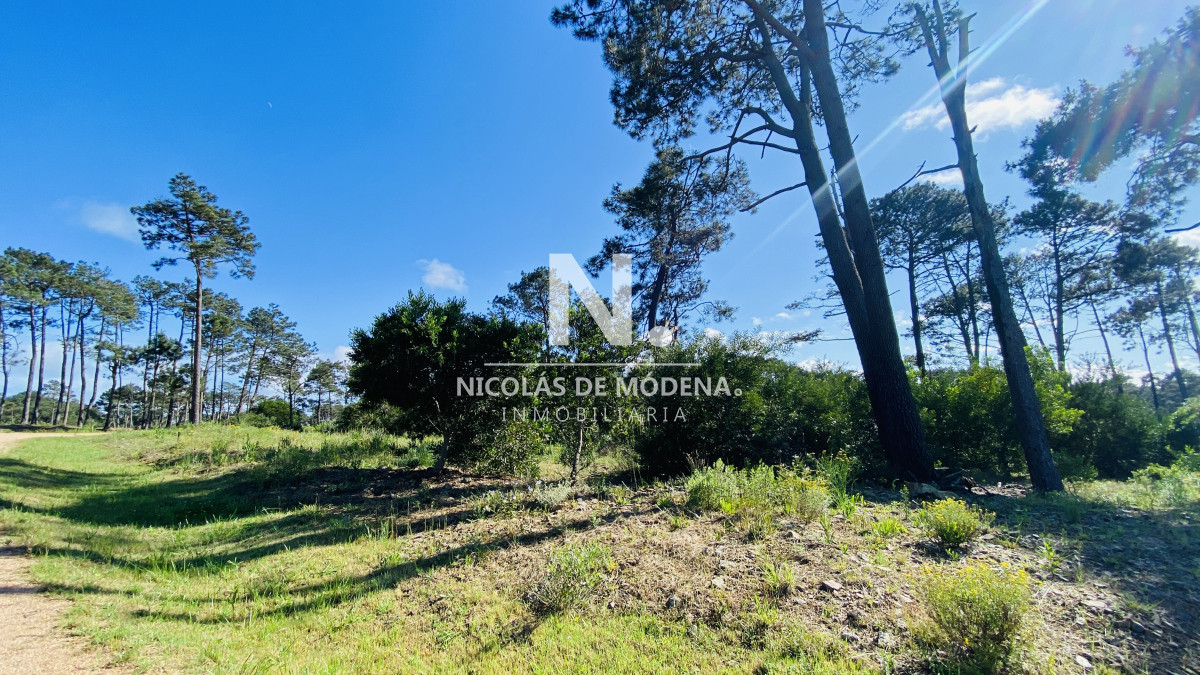 La Reserva - GoPunta - Portal Inmobiliario de Punta del Este - Maldonado