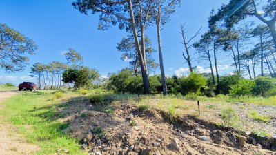 Venta terreno en Reserva Montoya USD 310.000 