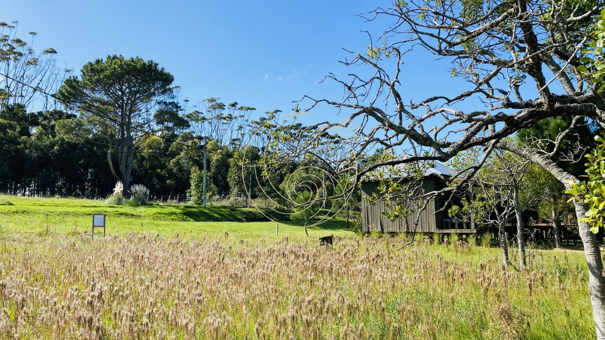 Terreno ID.21092422 - Venta terreno en San Vicente 750 mts 