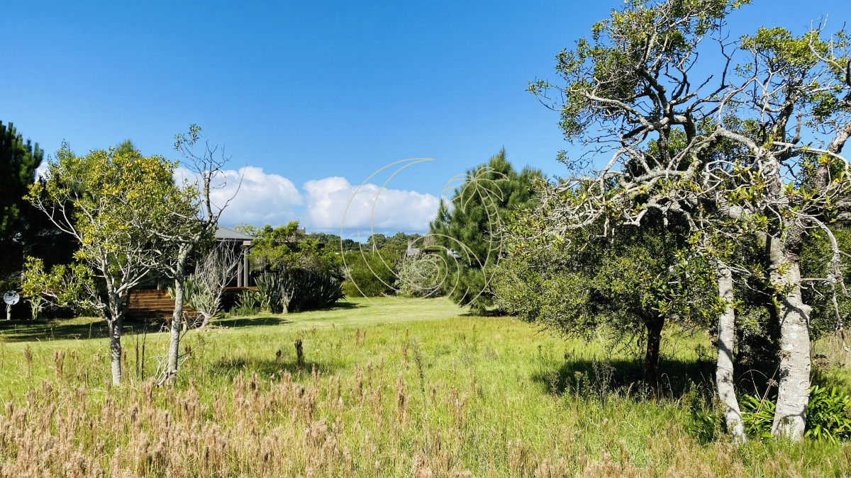 Terreno ID.21092422 - Venta terreno en San Vicente 750 mts 
