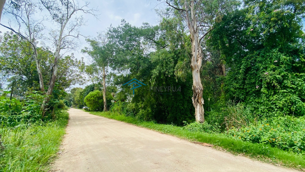 Terreno ID.244 - Terreno venta en El Tesoro zona la  barra