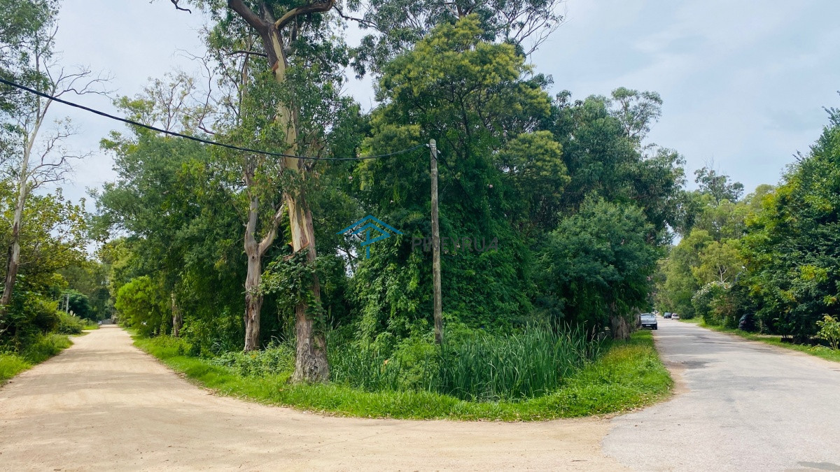 Terreno ID.244 - Terreno venta en El Tesoro zona la  barra