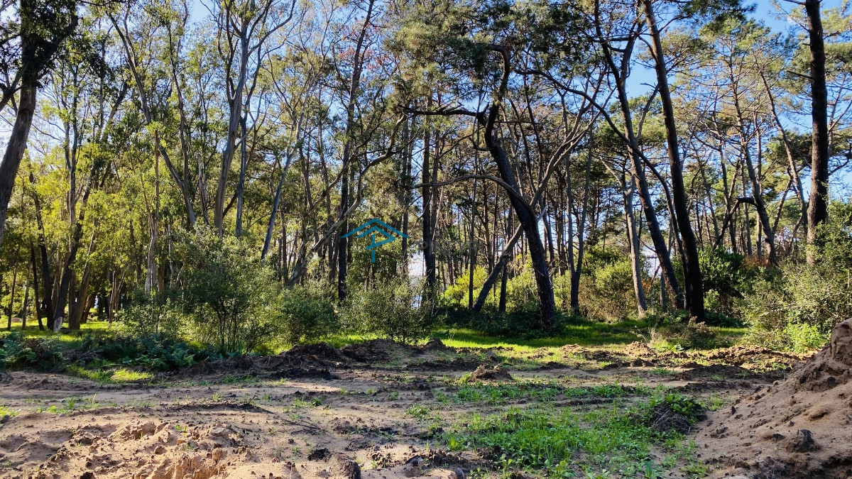 Terreno ID.181 - Venta terreno en barrio privado Reserva Montoya 