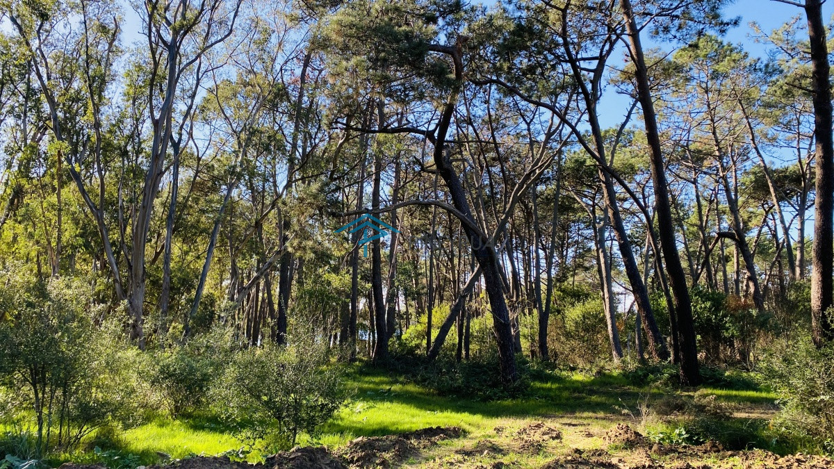 Terreno ID.181 - Venta terreno en barrio privado Reserva Montoya 
