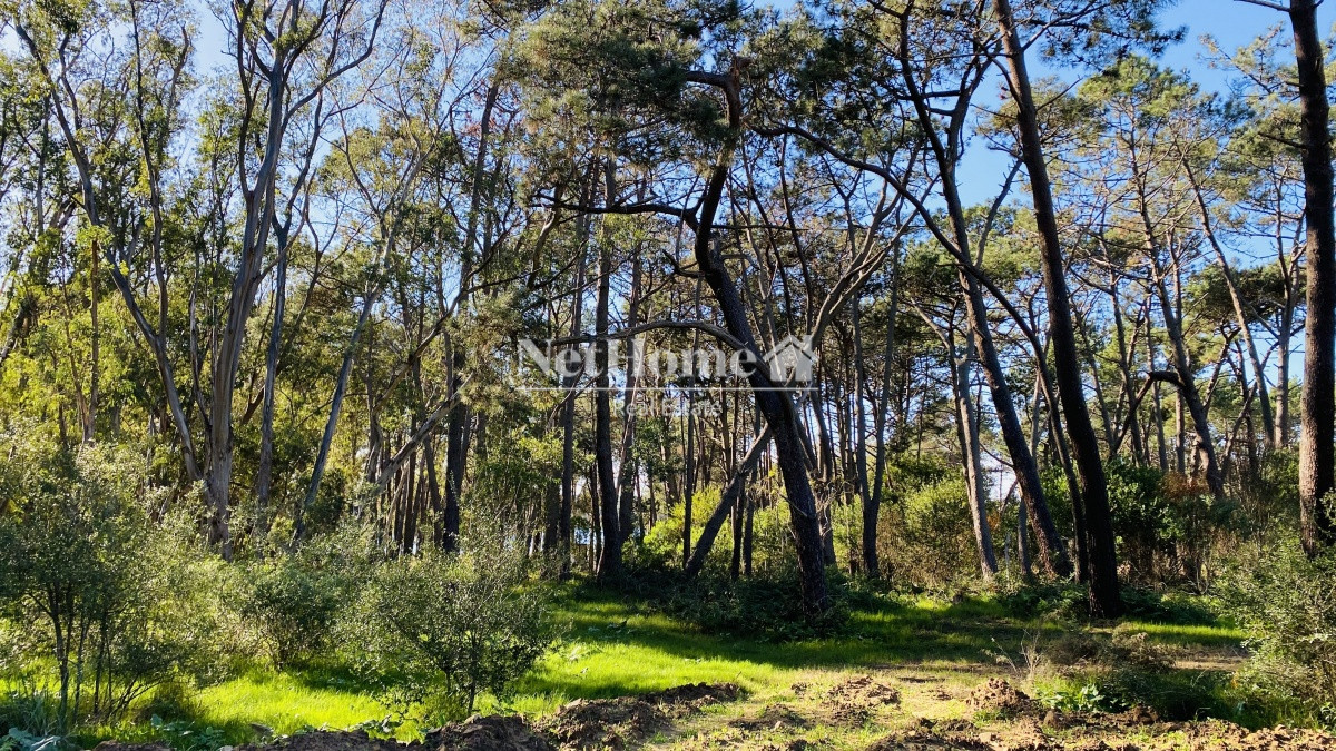 Terreno ID.249 -  Reserva Montoya Terreno 1000m2 en Exclusivo Barrio Privado a pasos del Mar 