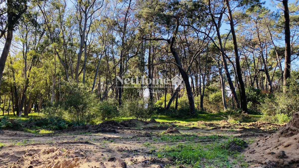 Terreno ID.249 -  Reserva Montoya Terreno 1000m2 en Exclusivo Barrio Privado a pasos del Mar 