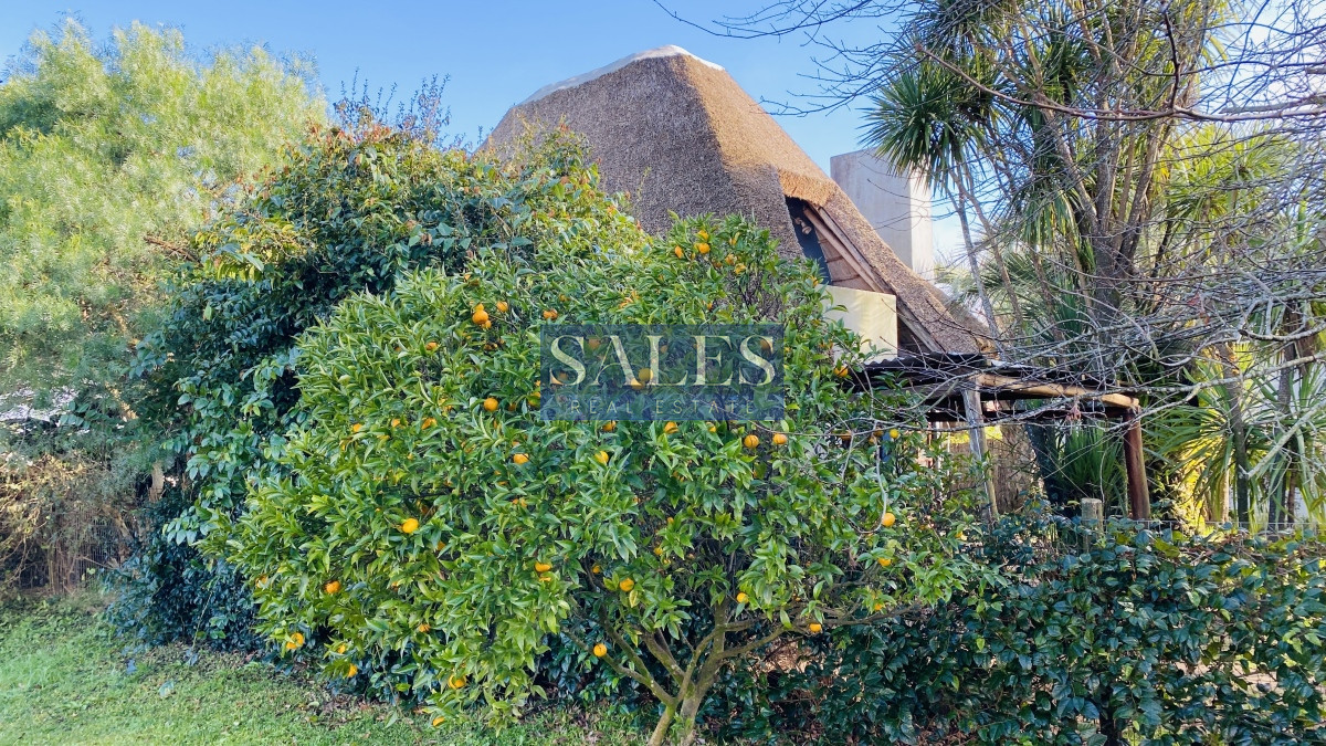 Casa ID.1400 - Venta 2 casas en El Tesoro La Barra con renta - inversores 