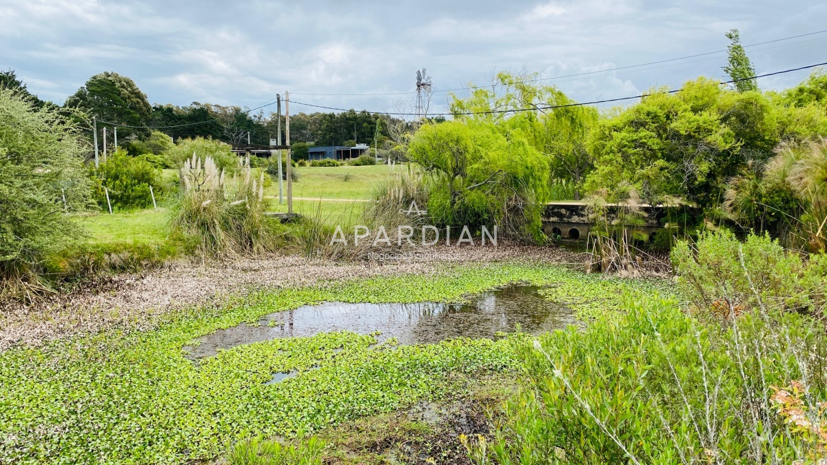Terreno ID.21097133 - Venta terreno en San Vicente 750 mts 