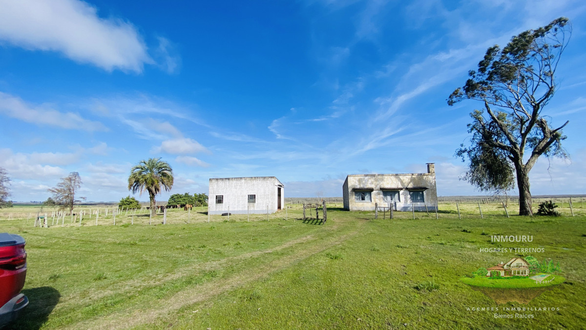 Campo Ref.783 - Campo de 245 has en Cerro Largo cercan de ciudad de Melo