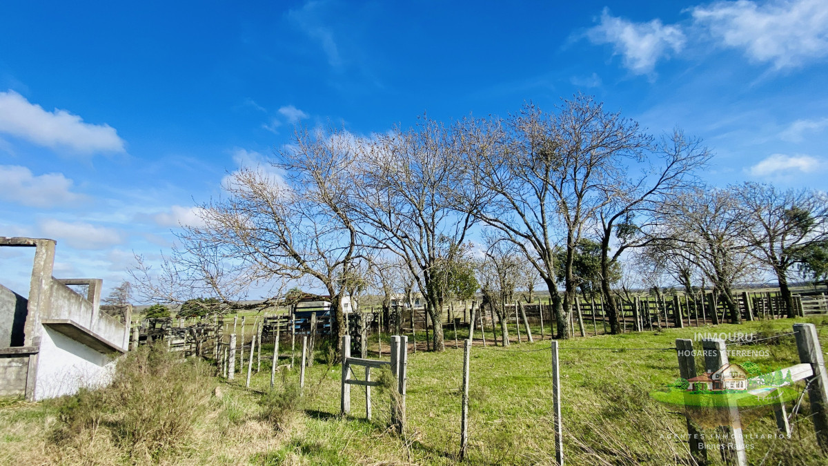 Campo Ref.783 - Campo de 245 has en Cerro Largo cercan de ciudad de Melo