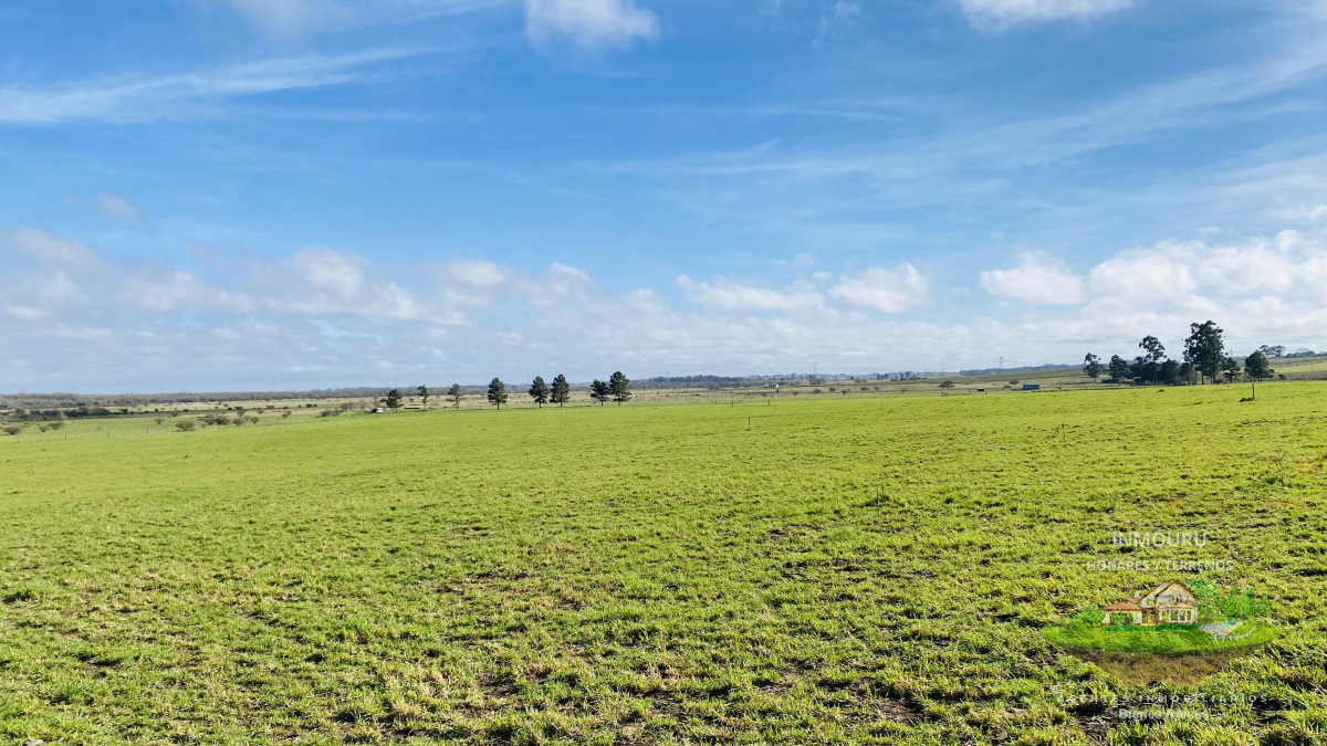 Campo Ref.783 - Campo de 245 has en Cerro Largo cercan de ciudad de Melo