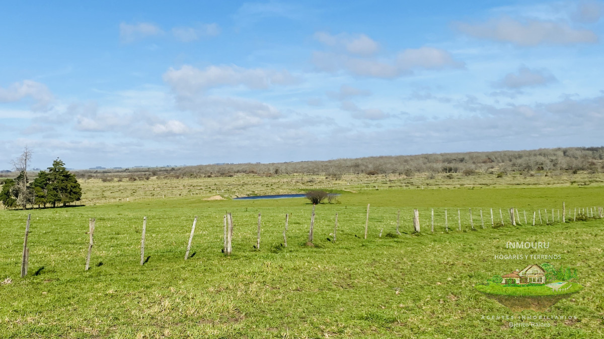 Campo Ref.783 - Campo de 245 has en Cerro Largo cercan de ciudad de Melo