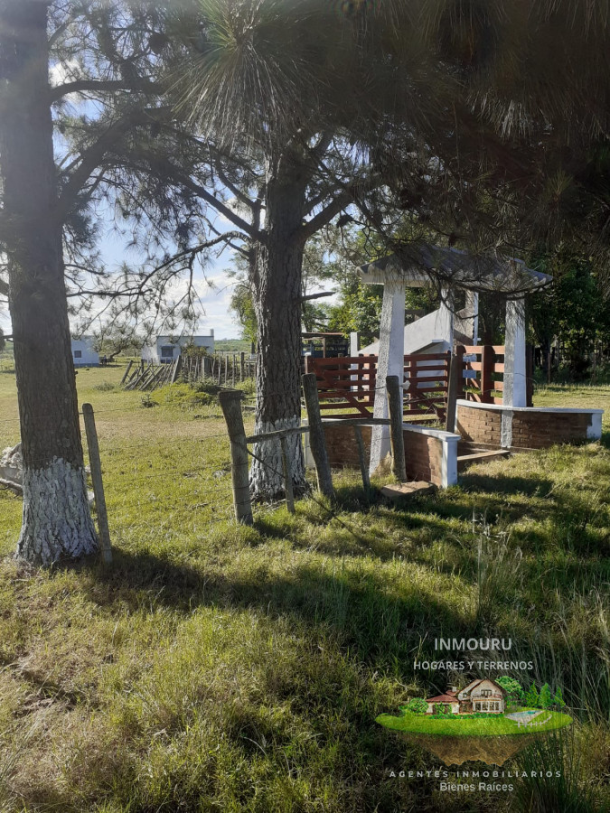 Campo Ref.783 - Campo de 245 has en Cerro Largo cercan de ciudad de Melo