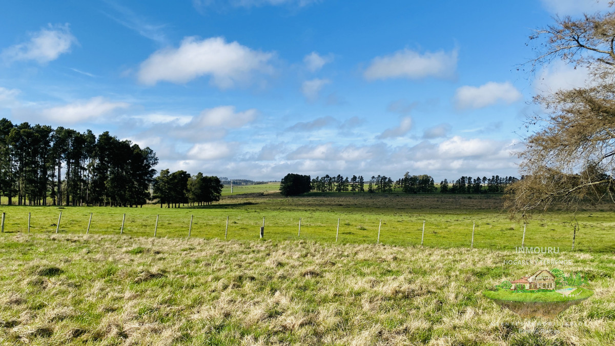Campo Ref.783 - Campo de 245 has en Cerro Largo cercan de ciudad de Melo
