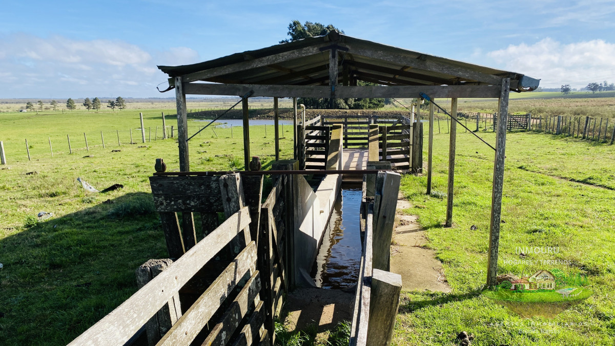 Campo Ref.783 - Campo de 245 has en Cerro Largo cercan de ciudad de Melo