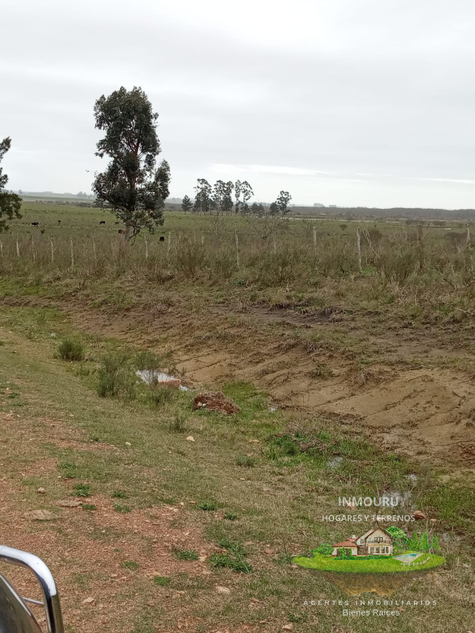 Campo Ref.783 - Campo de 245 has en Cerro Largo cercan de ciudad de Melo