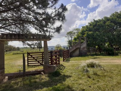 Campo de 245 has en Cerro Largo cercan de ciudad de Melo