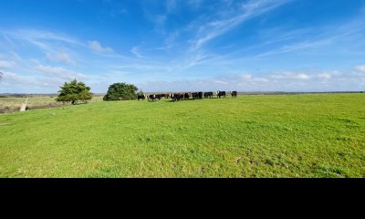 Campo de 237 has en Melo Cerro Largo