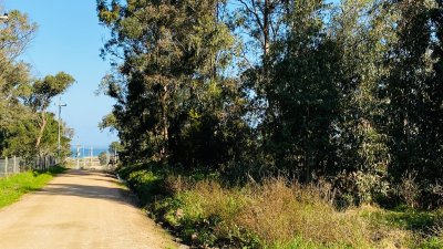 Venta terreno único en Balneario Buenos aires a 1 cuadra del mar 