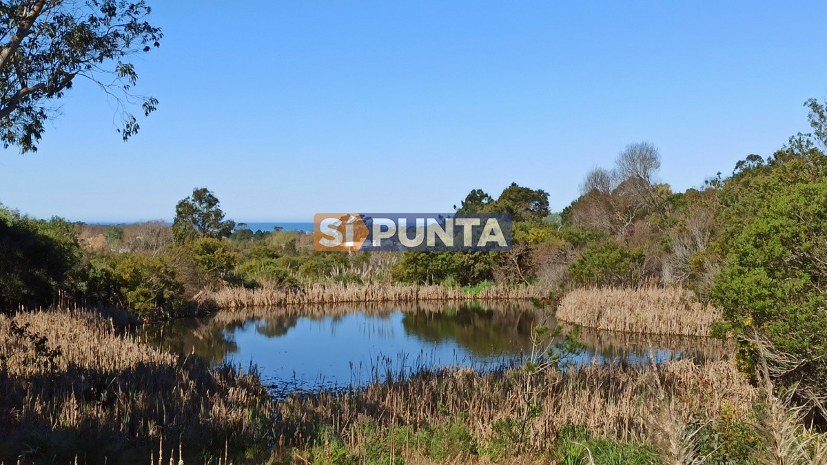Venta Hermosa Chacra con Tajamar y Vista al Mar - SPT8492T