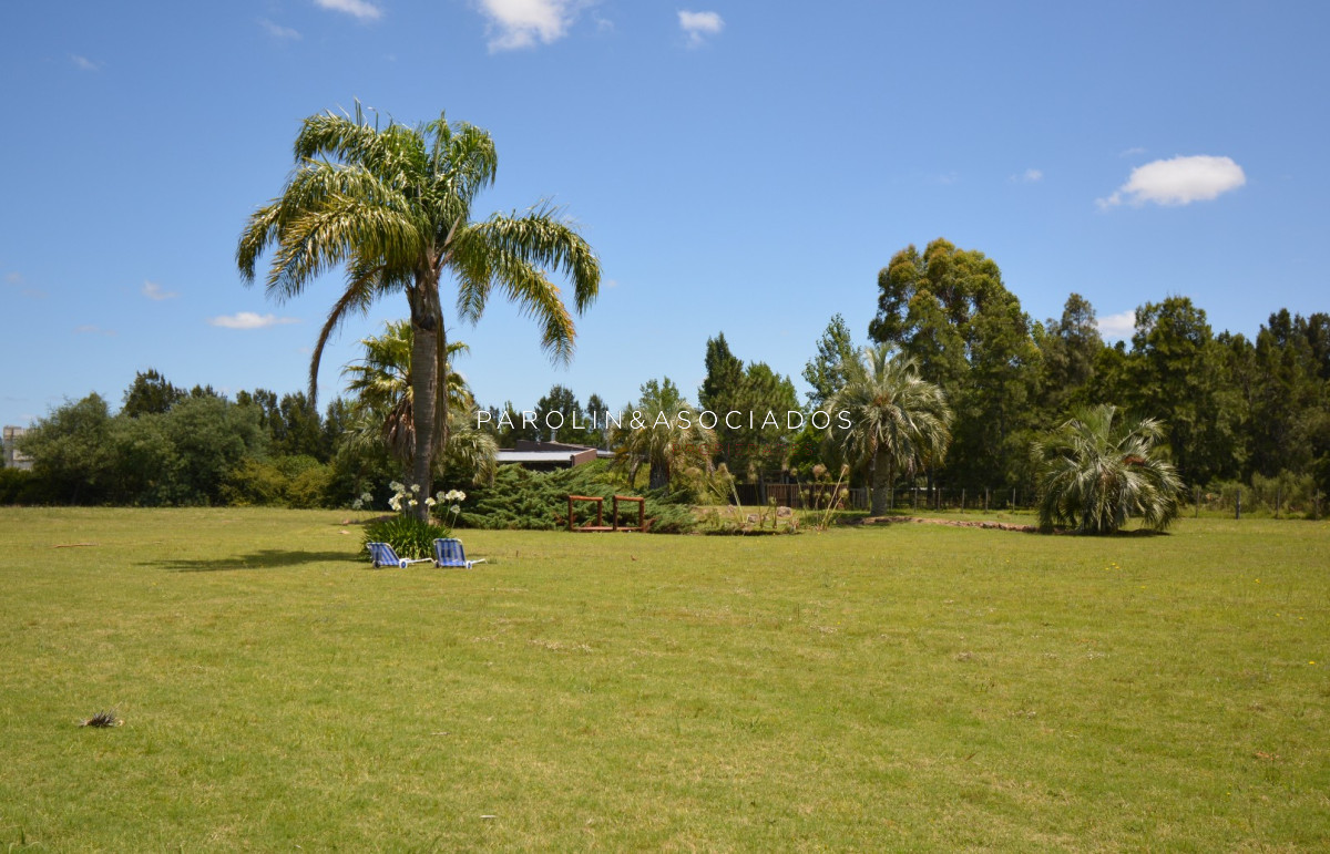 El Quijote - GoPunta - Portal Inmobiliario de Punta del Este - Maldonado