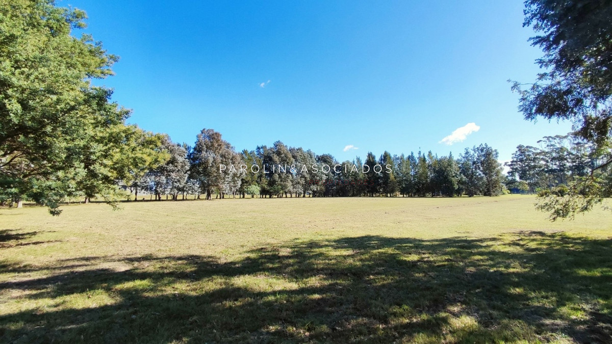 El Quijote - GoPunta - Portal Inmobiliario de Punta del Este - Maldonado