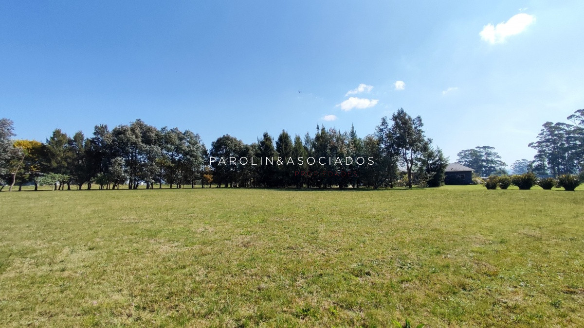El Quijote - GoPunta - Portal Inmobiliario de Punta del Este - Maldonado