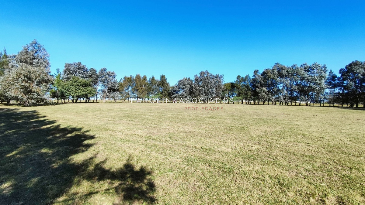 El Quijote - GoPunta - Portal Inmobiliario de Punta del Este - Maldonado