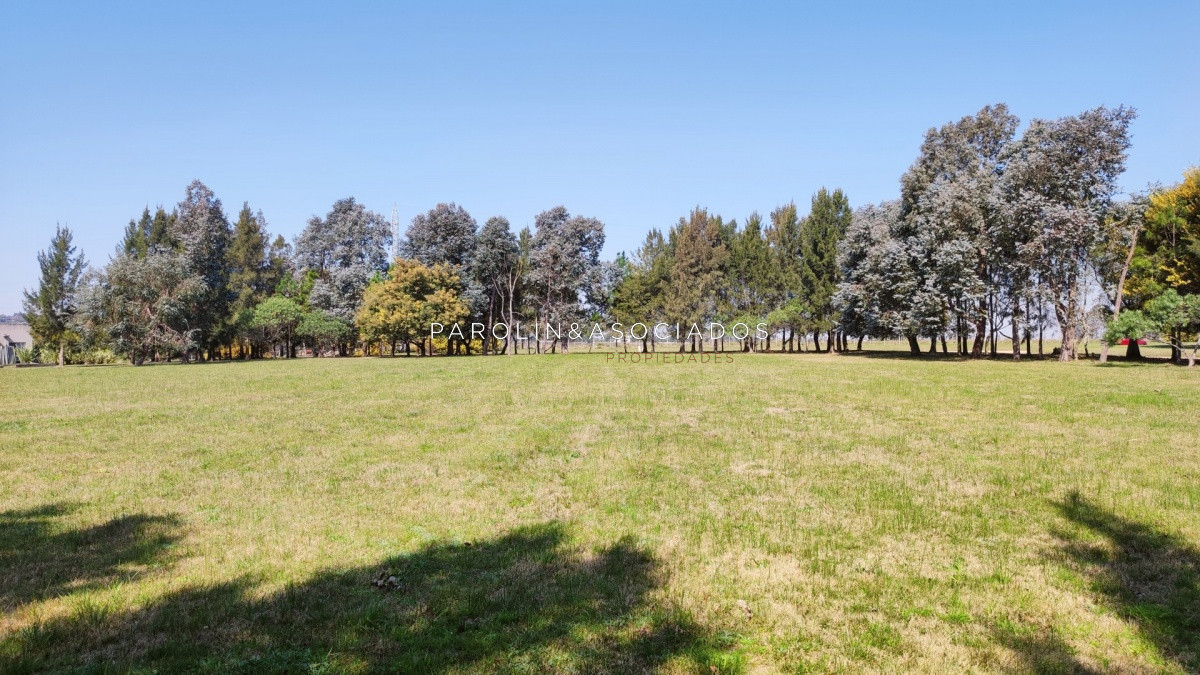 El Quijote - GoPunta - Portal Inmobiliario de Punta del Este - Maldonado