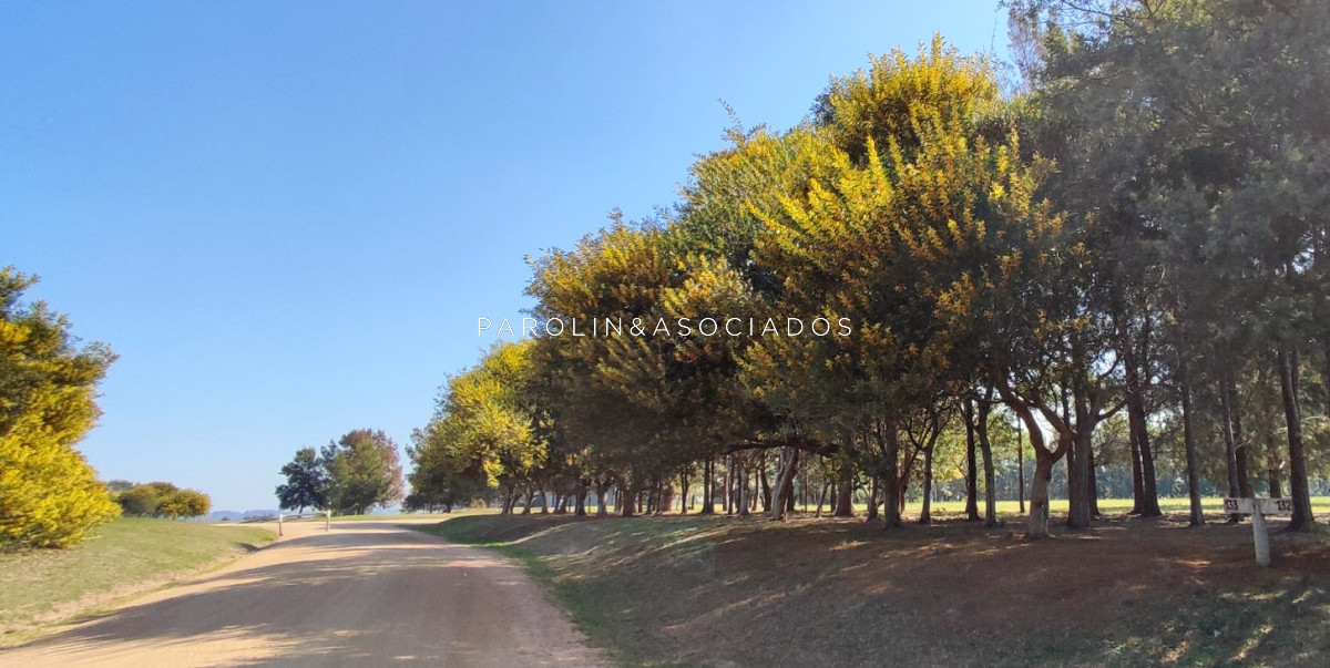 El Quijote - GoPunta - Portal Inmobiliario de Punta del Este - Maldonado