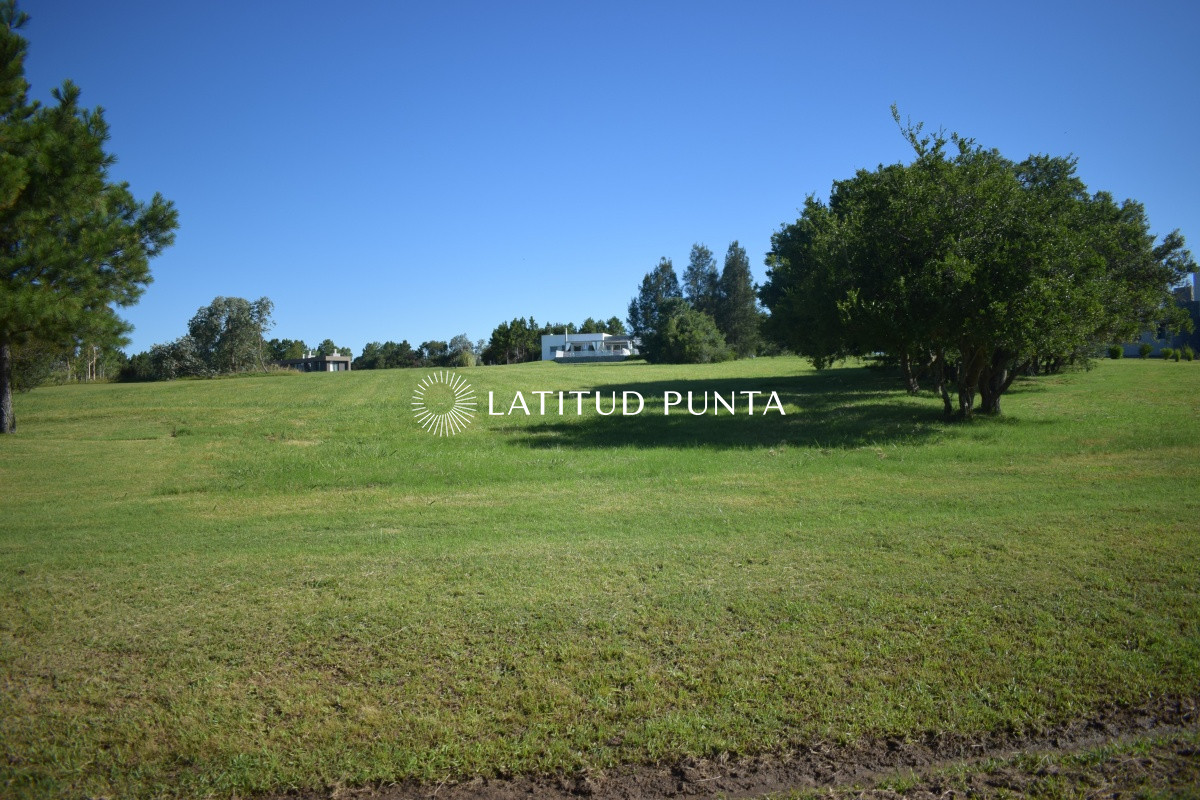 El Quijote - GoPunta - Portal Inmobiliario de Punta del Este - Maldonado