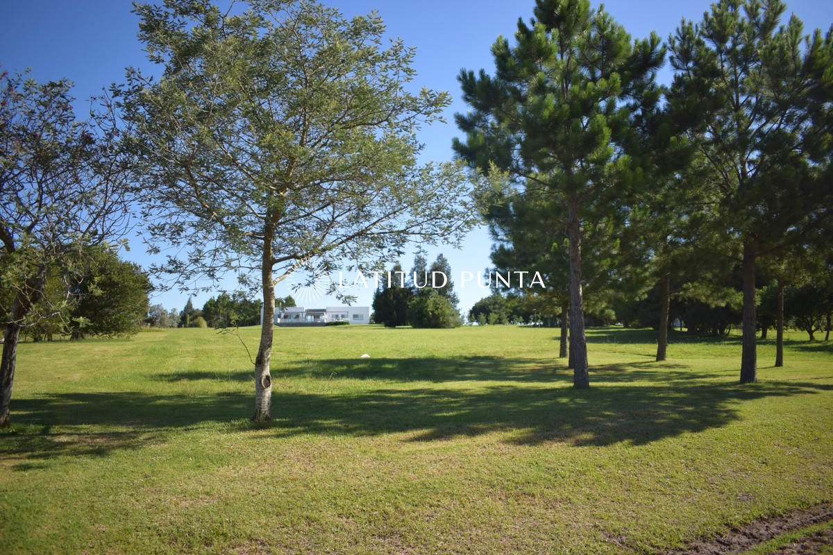 El Quijote - GoPunta - Portal Inmobiliario de Punta del Este - Maldonado