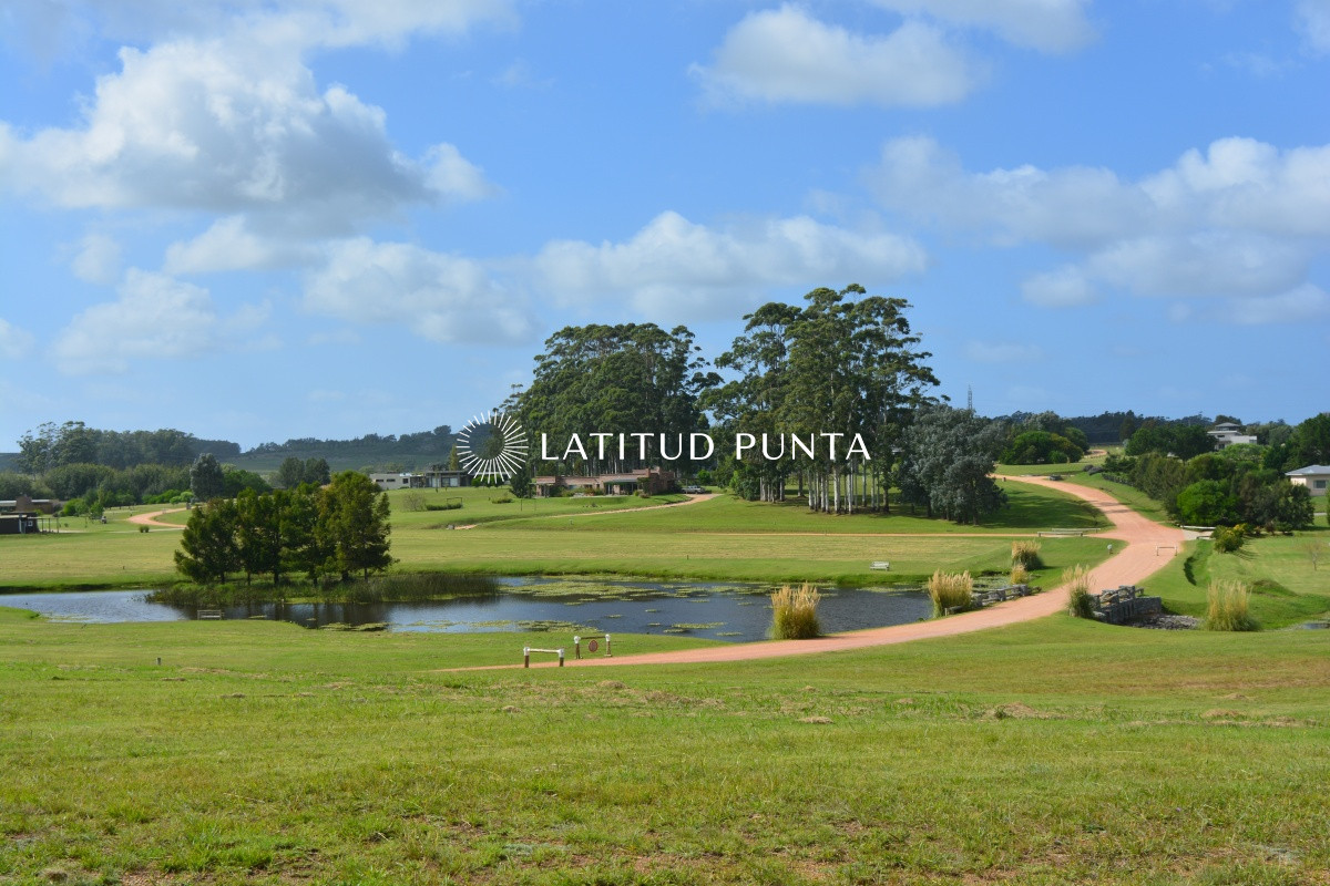 El Quijote - GoPunta - Portal Inmobiliario de Punta del Este - Maldonado