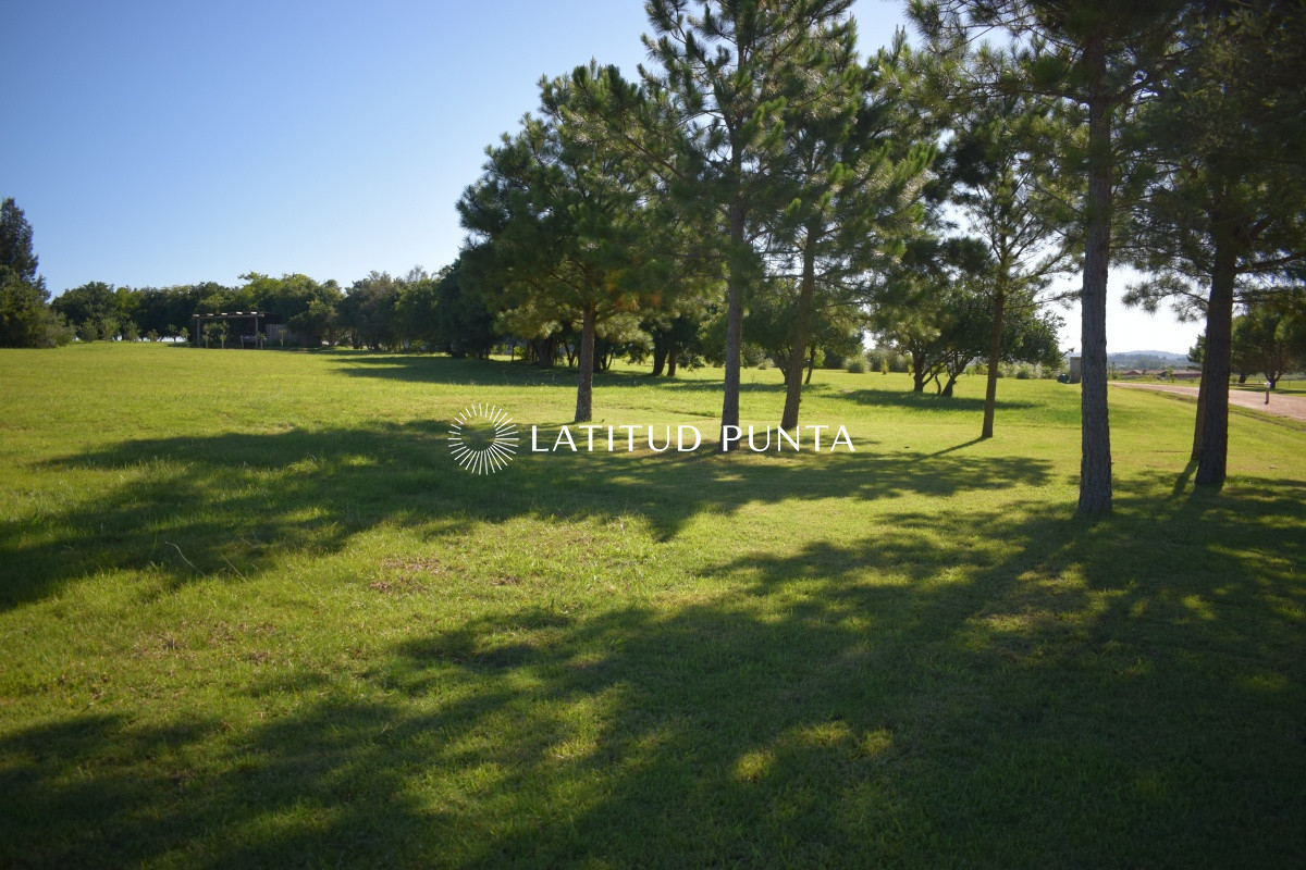 El Quijote - GoPunta - Portal Inmobiliario de Punta del Este - Maldonado