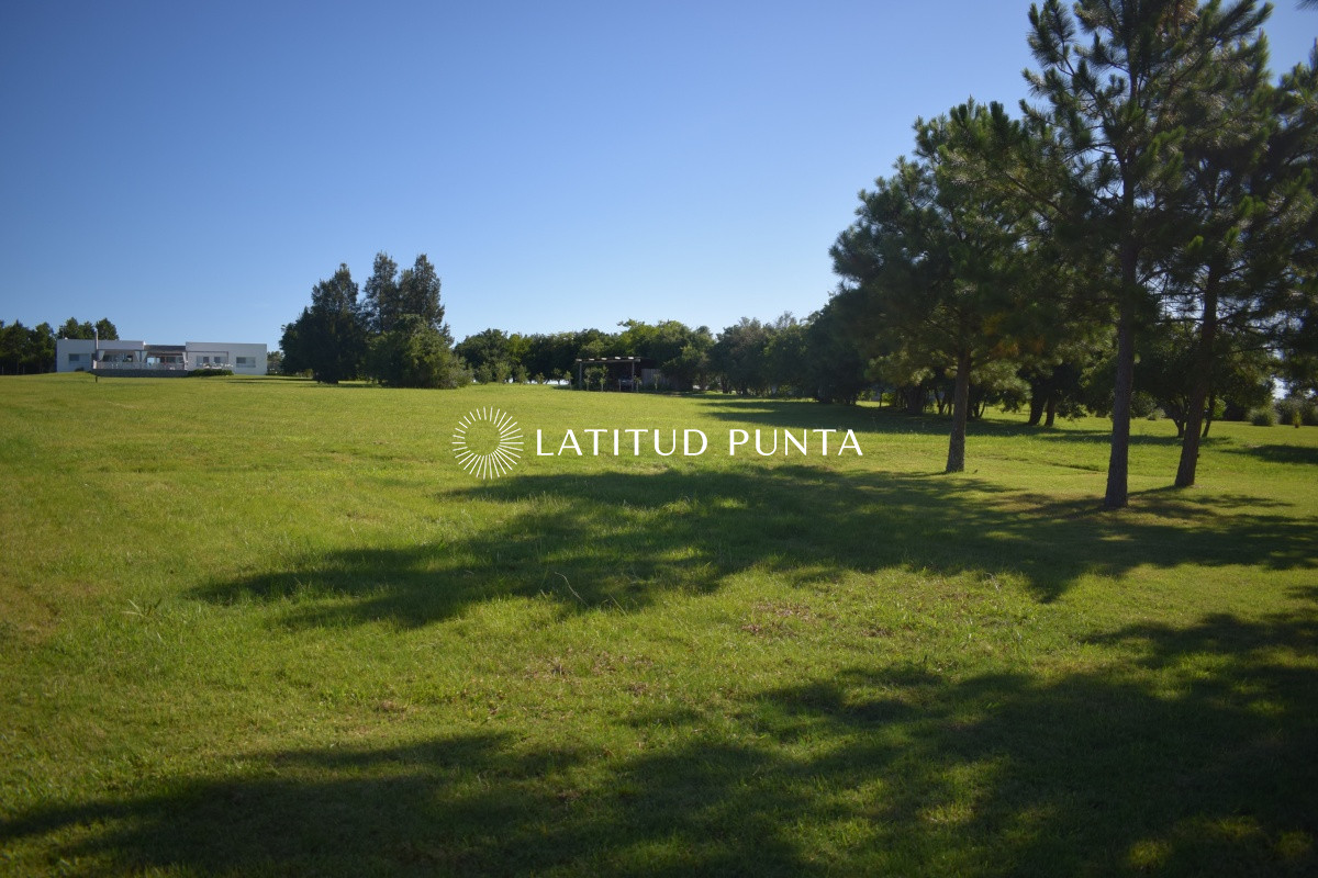 El Quijote - GoPunta - Portal Inmobiliario de Punta del Este - Maldonado