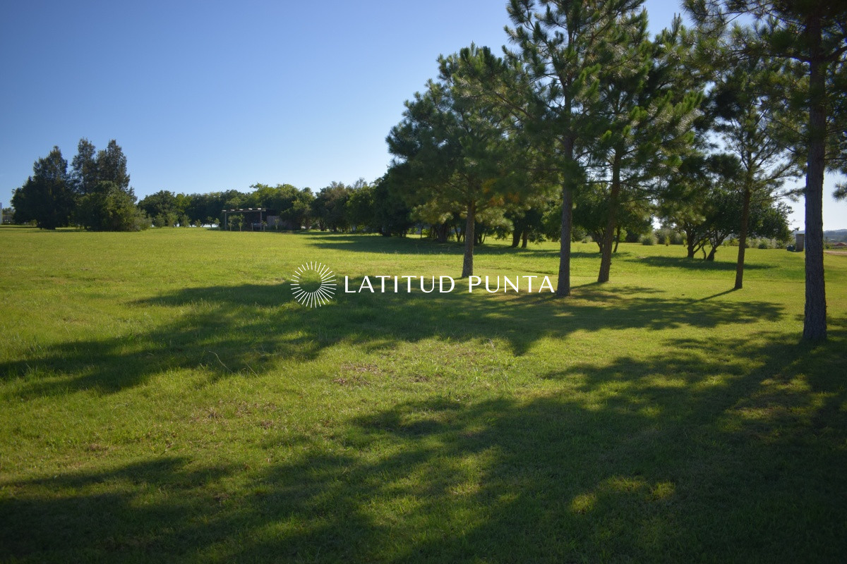 El Quijote - GoPunta - Portal Inmobiliario de Punta del Este - Maldonado