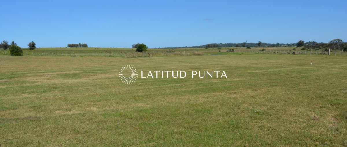 El Quijote - GoPunta - Portal Inmobiliario de Punta del Este - Maldonado