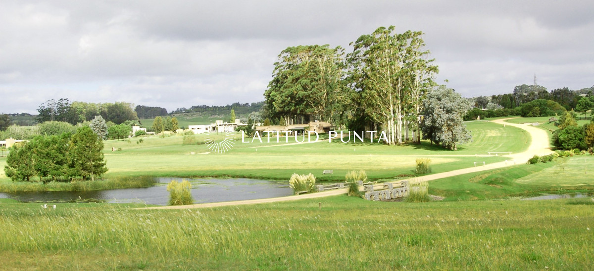 El Quijote - GoPunta - Portal Inmobiliario de Punta del Este - Maldonado