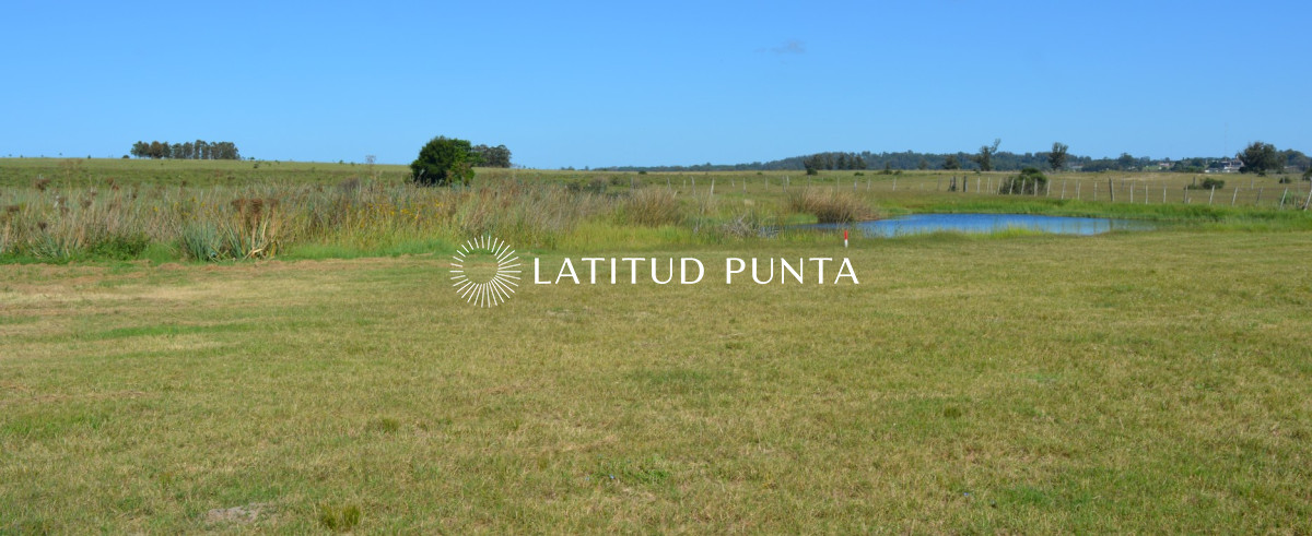 El Quijote - GoPunta - Portal Inmobiliario de Punta del Este - Maldonado