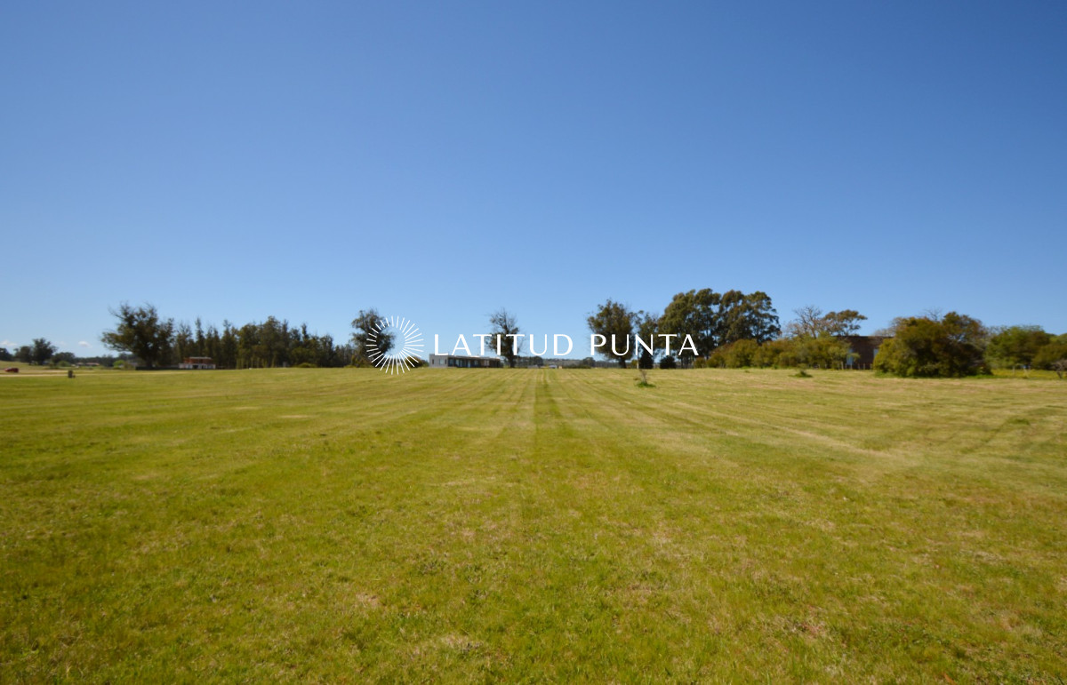 El Quijote - GoPunta - Portal Inmobiliario de Punta del Este - Maldonado