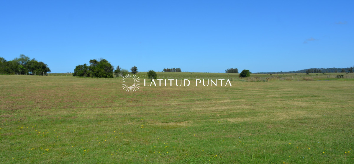 El Quijote - GoPunta - Portal Inmobiliario de Punta del Este - Maldonado