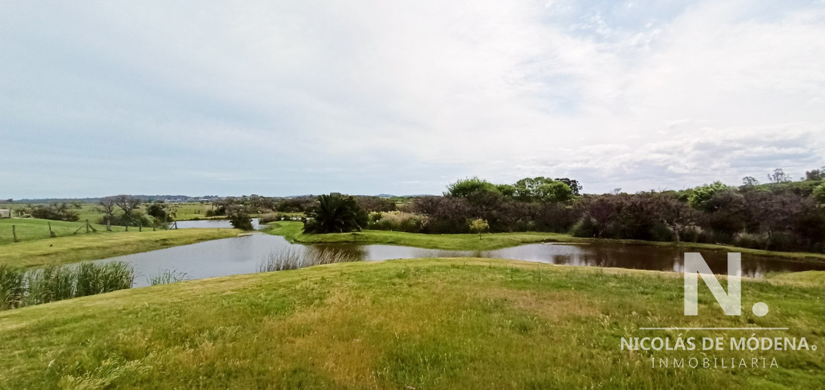 El Quijote - GoPunta - Portal Inmobiliario de Punta del Este - Maldonado