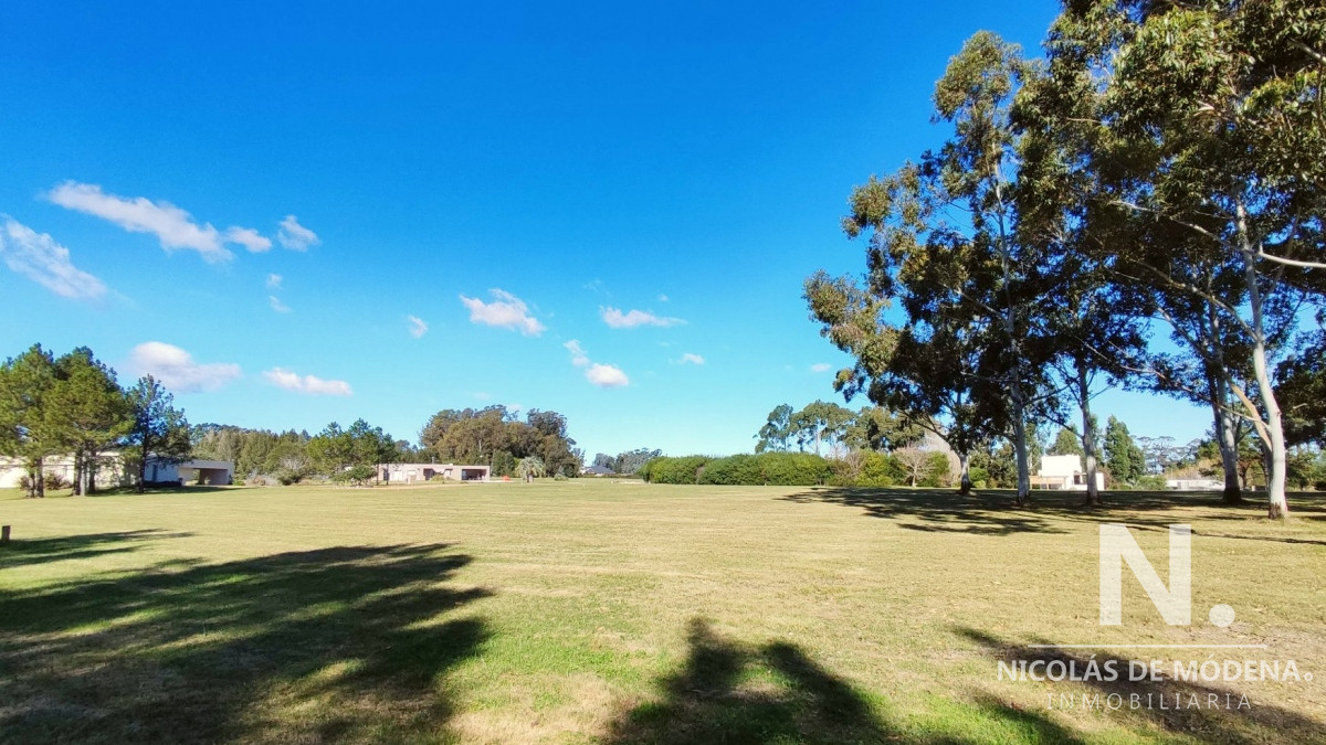 El Quijote - GoPunta - Portal Inmobiliario de Punta del Este - Maldonado