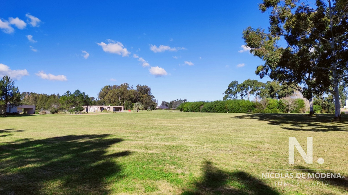 El Quijote - GoPunta - Portal Inmobiliario de Punta del Este - Maldonado