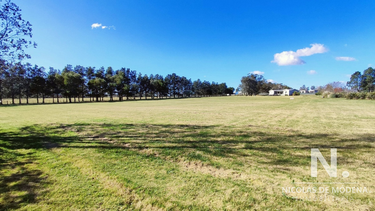 El Quijote - GoPunta - Portal Inmobiliario de Punta del Este - Maldonado