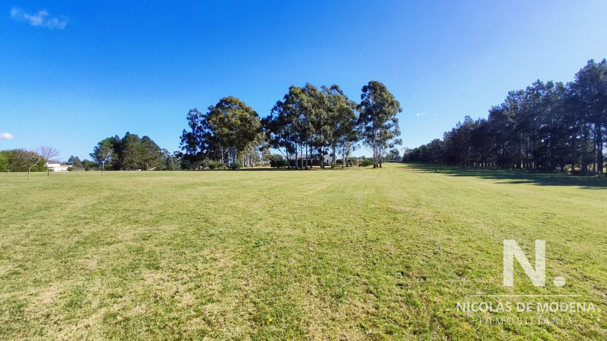 El Quijote - GoPunta - Portal Inmobiliario de Punta del Este - Maldonado