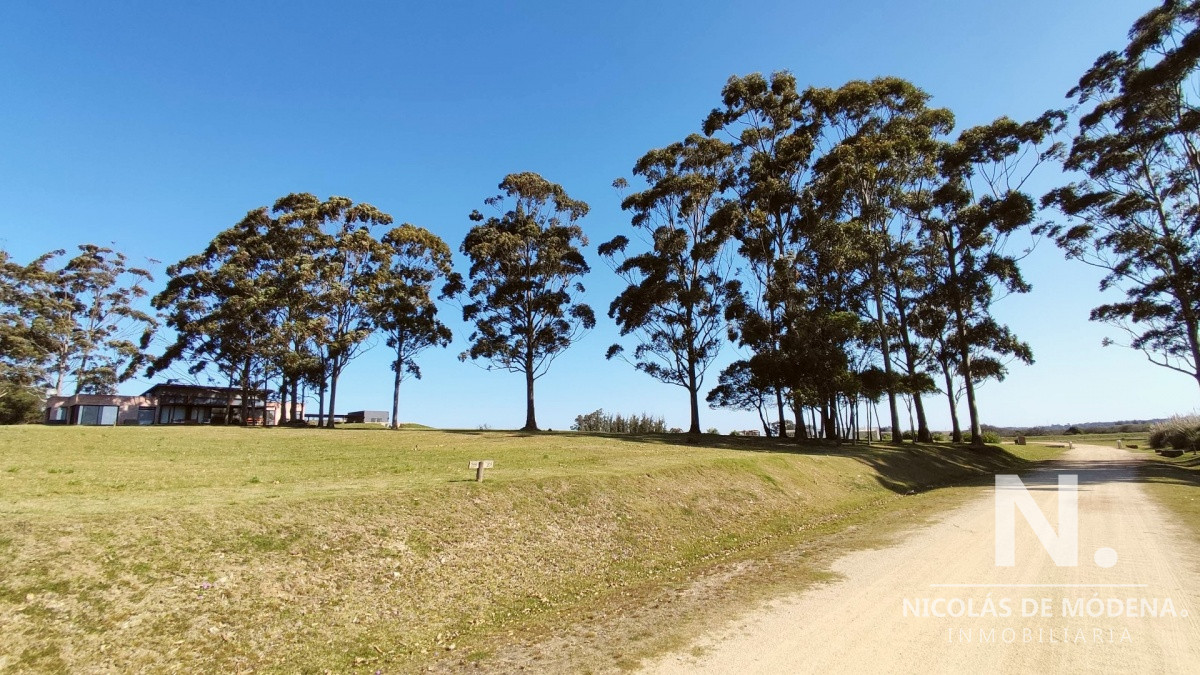 El Quijote - GoPunta - Portal Inmobiliario de Punta del Este - Maldonado